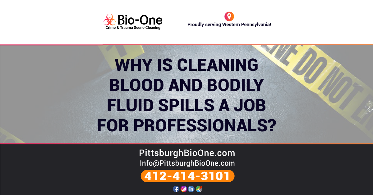 Why is Cleaning Blood and Bodily Fluid Spills a Job for Pros? BioOne