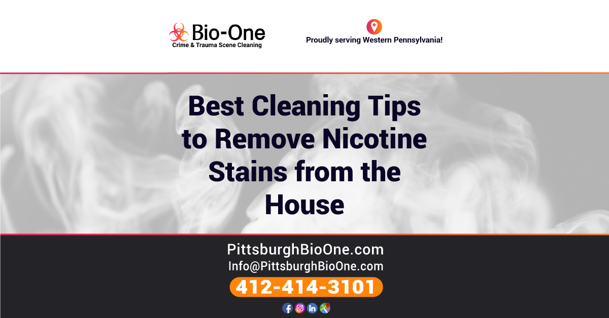 Best Cleaning Tips to Remove Nicotine Stains from the House BioOne