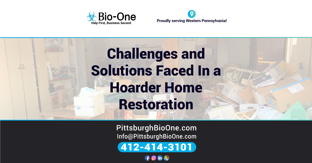 Challenges and Solutions Faced In a Hoarder Home Restoration BioOne
